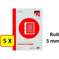 Quantore Cursusblok a4 80gr ruit 5mm be | 5 stuks