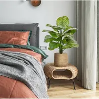 Maxifleur Kunstplanten Calathea Fasciata kunstplant 70cm