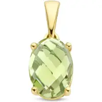 The Jewelry Collection 14K geelgoud hanger groen amethist 4026967