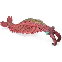 Collecta Figurine - Anomalocaris - (L) - Prehistorie - Handgeschilderd - Miniatuur