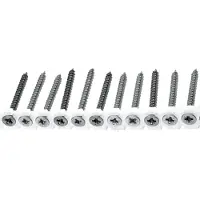 Qz 8053VZ Houtbouwschroeven Op Band - 4,0 X 40mm (1.000st)