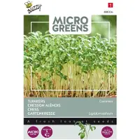 Buzzy 5 stuks - Buzzy - Microgreens Tuinkers