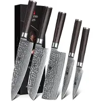 Xinzuo B1H Series - Set van 5 messen - Professioneel - Gehamerd Damascus staal (67 laag met kern van 10Cr15CoMoV) - Vlijmscherp - Messenset inclusief geschenkdoos