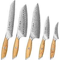 HEZHEN X01 Flagship Series – Professionele Messenset (5-delig) - Damascus staal (73 laags met poederstalen kern van 14Cr14MoVNb) - Olijfhout - Vlijmscherpe damastmessen - Inclusief mooie geschenkdoos
