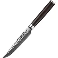 Xinzuo B1H Series – Steakmes – Professioneel – Gehamerd Damascus staal (67 laags met kern van 10Cr15CoMoV) – Vlijmscherp keukenmes – Inclusief geschenkdoos