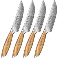HEZHEN X01 Flagship Series – Professionele Steakmessenset - Damascus staal (73 laags met poederstalen kern van 14Cr14MoVNb) - Olijfhout - Vlijmscherpe damastmessen - Inclusief mooie geschenkdoos