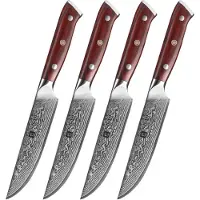 Xinzuo steakmessen van Damaststaal | 4-delige set | Damascus Staal (67 lagen, VG10) | B13R Yu