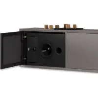 Lyngdorf CS-2 Compacte luidspreker