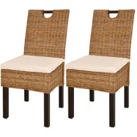 vidaXL Eetkamerstoel Kubu 2 stuks rattan mangohout online kopen