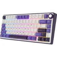 Royal Kludge RKR75 - RGB Mechanisch Gaming Toetsenbord - Foam Touch - Hot Swappable Switch - Blackberry - Silver Switches - Inclusief Stofkap