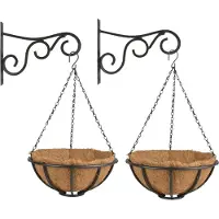 Esschert Design Set van 2x stuks Hanging baskets 30 cm met muurhaken - Complete hangmand set van metaal
