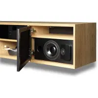 Lyngdorf CS-1 Compacte luidspreker