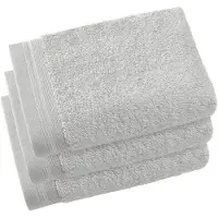 De Witte Lietaer Gastendoek Contessa Silver (40 x 60 cm) (set van 3) '21