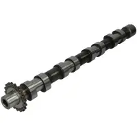 AE CAM748 Nokkenas