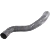 FEBI BILSTEIN 101074 Radiateurslang