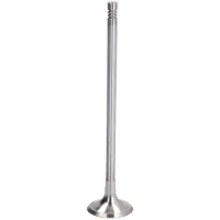 IPSA VL206300 Uitlaatklep