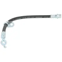 Delphi Remslang LH7135