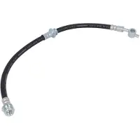 Delphi Remslang LH6208