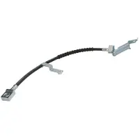Delphi Remslang LH6120