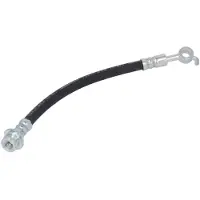 Delphi Remslang LH6849