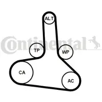 CONTINENTAL CTAM CT1245 Distributieriem