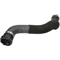 THERMOTEC Radiateurslang DWX060TT