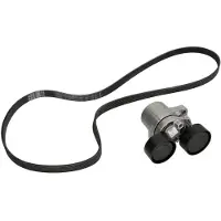 INA Multiriem set 529020610 Ina voor o.a. BMW
