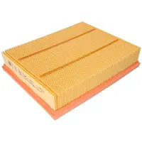 MANN-FILTER C 25 035 Luchtfilter