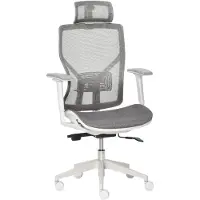 Vinsetto Bureaustoel In hoogte verstelbare bureaustoel met 3D-armleuning 3 niveaus mesh grijs