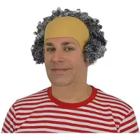 Witbaard Pruik kale kop - grijs - Abraham/oude man/opa - verkleed thema pruiken