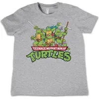 Teenage Mutant Ninja Turtles Teeange Mutant Ninja Turtles Distressed Group kinder-T-shirt, heathergrijs