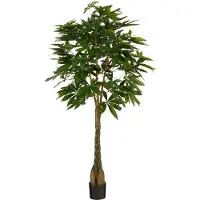 Mica Decorations Pachira Kunstplant - H150 x Ø65 cm - Groen