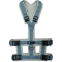 AnnyX hondentuig Safety FUN Limited Edition Salvia-Duifblauw maat S-geschikt voor kleine-middelgrote honden-Borstomvang 54 tot 62cm -taille omvang 50 tot 54 cm -onderborstband 31cm