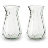 Merkloos 2x Stuks Bloemenvazen - helder/transparant glas - H18 x D11.5 cm - Vazen