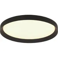 Steinhauer Plafondlamp Flady Zwart 40 cm