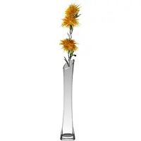 Hakbijl Glass bloemenvaas - transparant - D7 x H24 cm - glas - Vazen