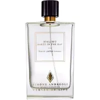 Simone Andreoli Malibù Feest in de baai Eau de Parfum 100 ml