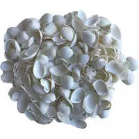 Rayher Hobby decoratie schelpen/schelpjes - parelmoer/wit - afmeting 2 cm - 250 gram netje - Hobbydecoratieobject