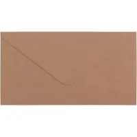 Florence Vaessen Creative Enveloppen Kraft - 21 x 11 cm - 100 st. - 120 g - met Enveloppendoos