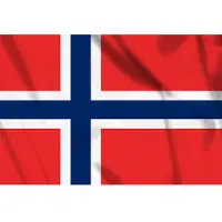 101 Inc Vlag Noorwegen, Noorse vlag