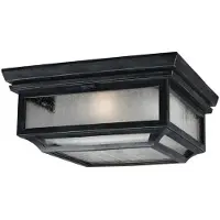 FEISS Plafondlamp Shepherd voor buiten, zwart, Kunststof, Landelijk, plafondlamp