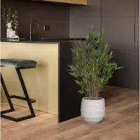 Maxifleur Kunstplanten Draceana Surculosa kunstplant 110cm