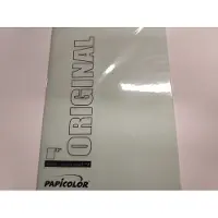 Papicolor Kopieerpapier a4 100gr zeegroen