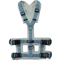 AnnyX Hondentuig Safety – Maat M – Anti-Ontsnapping – Limited Edition