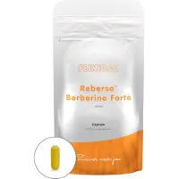 Flinndal Rebersa Berberine Forte 30 capsules - 30 Capsules -