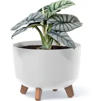 Prosperplast Gracia - Bloempot met pootjes - Plantenbak - Rond / diameter 200 mm - Wit