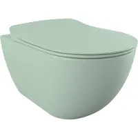 SaniGoods Alpha hangend toilet nijlgroen