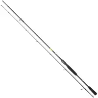 Daiwa Prorex E Mover Ii Spinning Rod Zilver 2.44 m / 10-35 g
