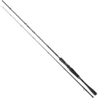 Daiwa Prorex Xr Baitcasting Rod Zilver 2.64 m / 100-250 g