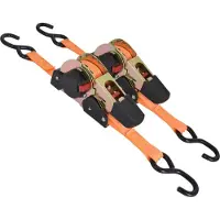 Carpoint Spanband - S- vormige haken - Automatisch - Lengte 3 meter - Breedte 25mm - Tot 325 KG - 2 Stuks